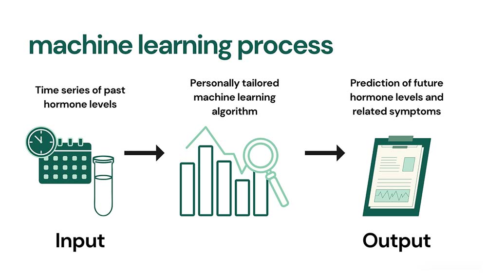 tyro — machine learning process